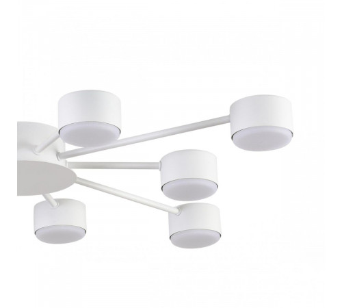 Потолочная люстра Lumion Comfi Torina 8343/10C