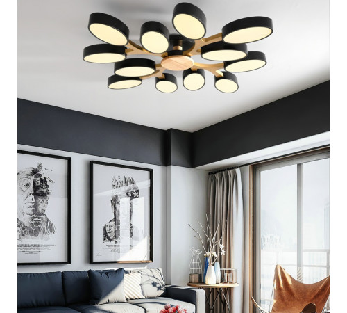 Потолочная люстра ImperiumLoft Ingalis 229014-26