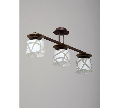 Потолочная люстра Vitaluce V4233/3PL