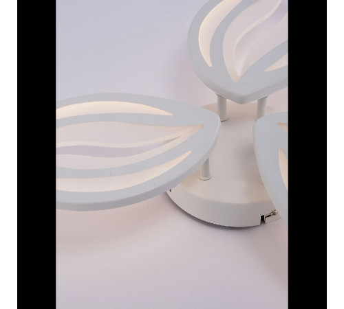 Потолочная люстра Natali Kovaltseva Sm LED LAMPS 81456 Потолочная люстра Natali Kovaltseva Sm LED LAMPS 81456
