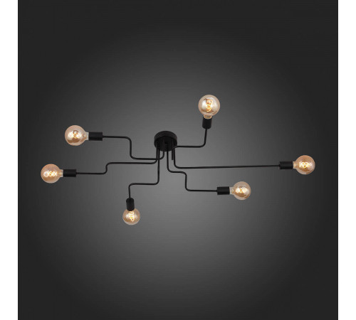 Потолочная люстра ST Luce Ano SL419.442.06