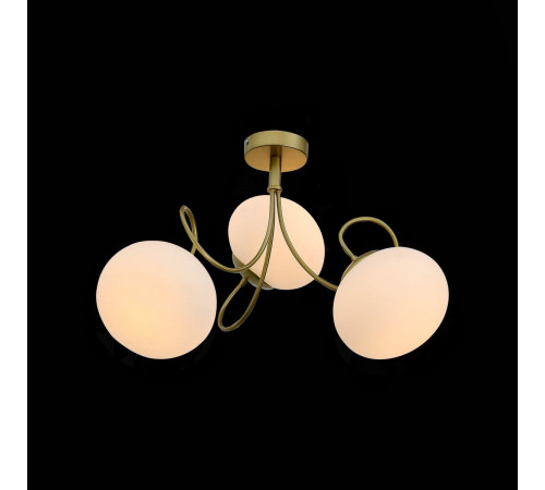 Потолочная люстра ST Luce Acini SL717.202.03