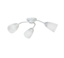 Потолочная люстра Vitaluce V3258/3PL