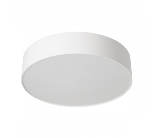 Потолочный светильник Citilux Bart CL755290