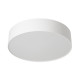 Потолочный светильник Citilux Bart CL755290