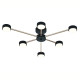 Потолочный светильник Escada Luminix 120008/6R Black/Gold ES0000094