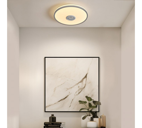 Потолочный светильник Freya Rond FR6226CL-L36W