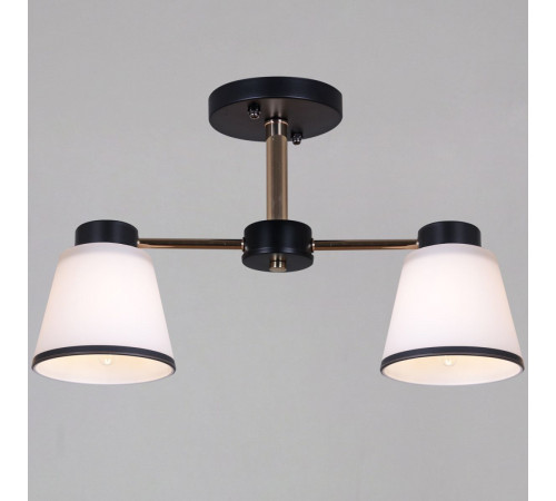 Потолочный светильник Reluce 30560-0.3-02 BK+FG