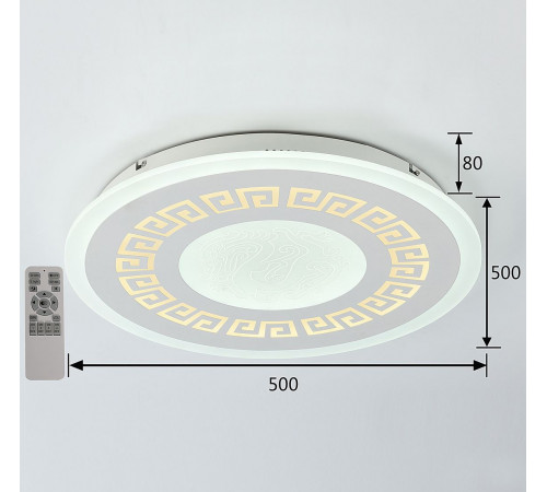 Потолочный светодиодный светильник F-Promo Ledolution 2273-5C