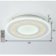 Потолочный светодиодный светильник F-Promo Ledolution 2273-5C