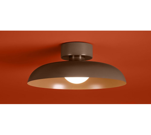 Потолочный светильник Freya Movement FR5602CL-L10BR