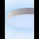 Потолочный светильник Natali Kovaltseva Modern LED LAMPS 81105/1C