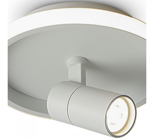Потолочный светильник Freya Neo FR6040CL-L14W