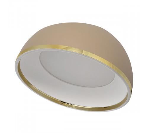 Потолочный светильник Citilux Floom CL736152
