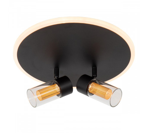 Потолочный светильник Lucide Everina 00131/30/30