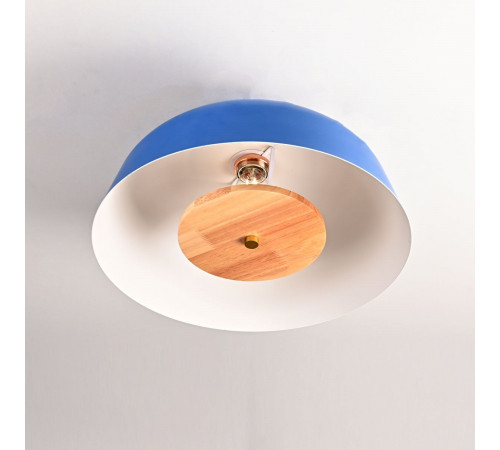 Потолочный светильник ImperiumLoft Globemi Blue 302741-26 Потолочный светильник ImperiumLoft Globemi Blue 302741-26