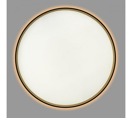 Потолочный светильник Citilux Etalon CL750501R