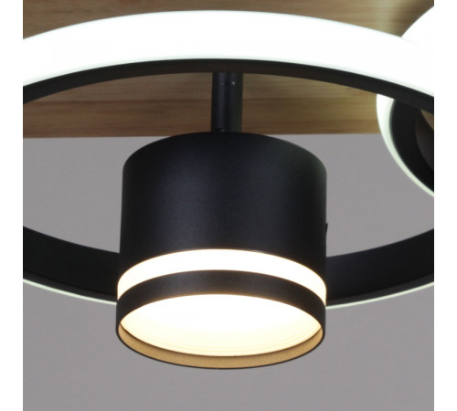 Потолочный светильник Reluce 29560-0.3-2+2 BK+WOOD
