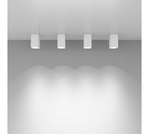 Потолочный светильник Elektrostandard 1085 GU10 WH белый матовый 4690389123917
