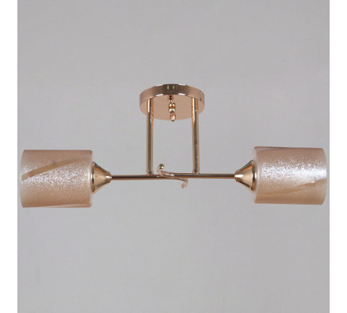 Потолочный светильник Reluce 51460-0.3-02 FG