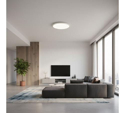 Потолочный светильник  LOFT IT Sweety 10454/500 White