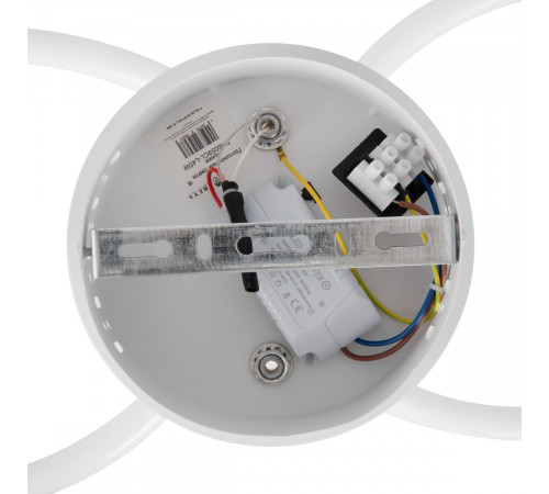 Потолочный светильник Freya Fancy FR6059CL-L45W