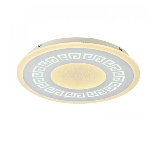 Потолочный светодиодный светильник F-Promo Ledolution 2273-5C