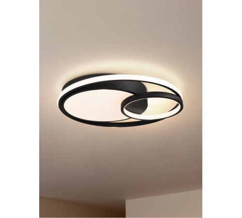 Потолочный светильник Freya Nation Market FR10028CL-L80B