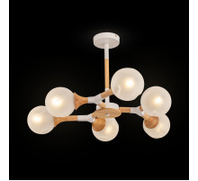 Потолочный светильник Freya Amy FR5105CL-06W