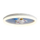 Потолочный светильник Freya Cosmic FR5457CL-L36B
