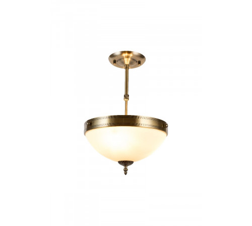Потолочный светильник Myfar Biene MR1525-3C Потолочный светильник Myfar Biene MR1525-3C