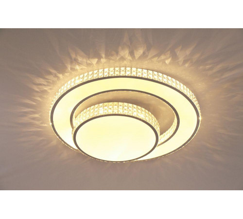 Потолочный светодиодный светильник Escada 10205/2LED Потолочный светодиодный светильник Escada 10205/2LED