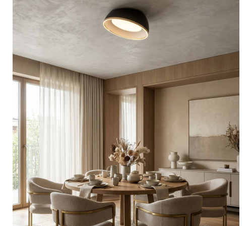 Потолочный светильник Citilux Floom CL736151