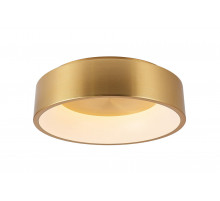 Потолочный светильник Myfar Shannon MR2195-1PL