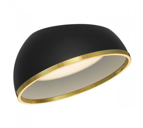 Потолочный светильник Citilux Floom CL736151