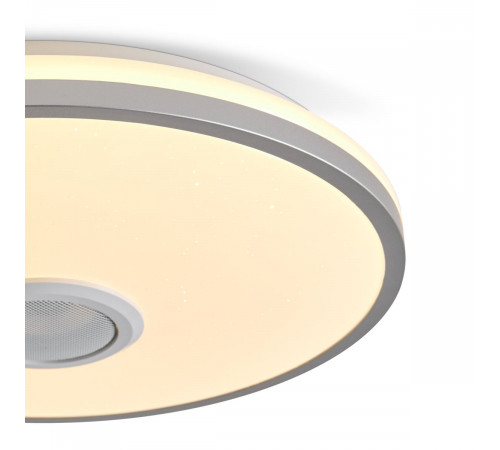 Потолочный светильник Freya Rond FR6226CL-L36W