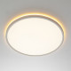Потолочный светильник Citilux Norma LED RGB CL749400