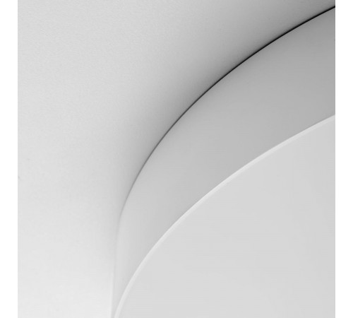 Потолочный светильник Citilux Bart CL755490