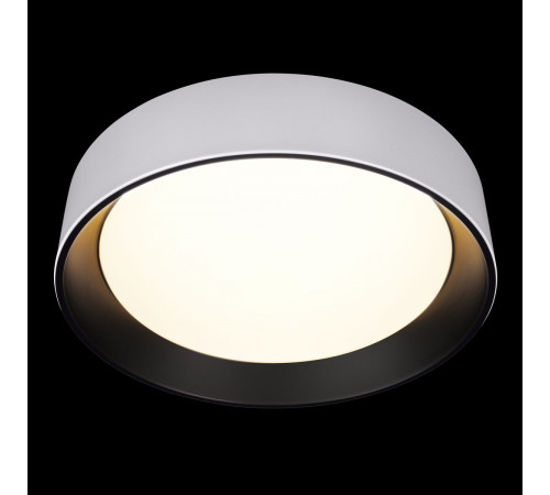 Потолочный светильник Loft IT Coin 10202 WB