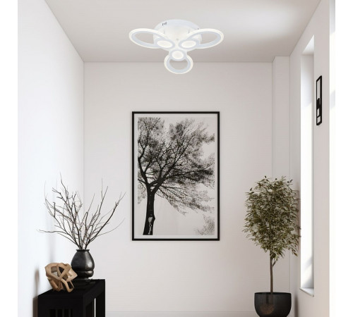 Потолочный светильник Escada Alruba 10230/3LED