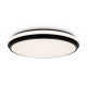 Потолочный светильник Freya Pie FR6086CL-L117B