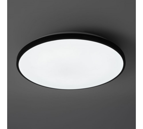 Потолочный светильник Freya Obelle FR6211CL-L24B