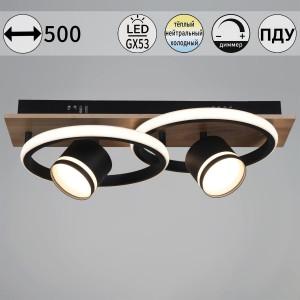 Потолочный светильник Reluce 29560-0.3-2+2 BK+WOOD