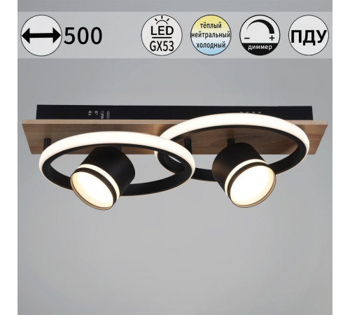 Потолочный светильник Reluce 29560-0.3-2+2 BK+WOOD