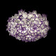 Потолочный светильник Loft IT Clizia 10231/780C Purple