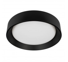 Потолочный светильник Loft IT Coin 10202 BB