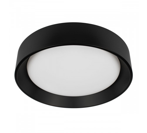 Потолочный светильник Loft IT Coin 10202 BB