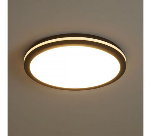 Потолочный светильник Freya Rua FR6160CL-L40B
