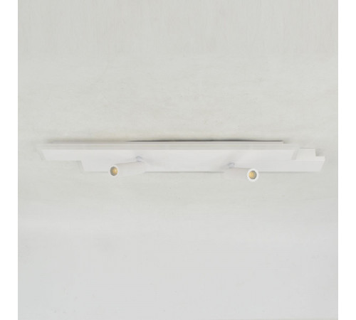 Потолочный светильник Escada 20047led 20047SMA/02LED WH Потолочный светильник Escada 20047led 20047SMA/02LED WH