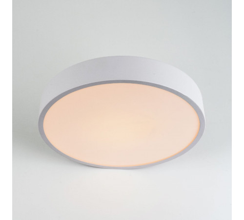 Потолочный светильник LED4U L2020-300 WH